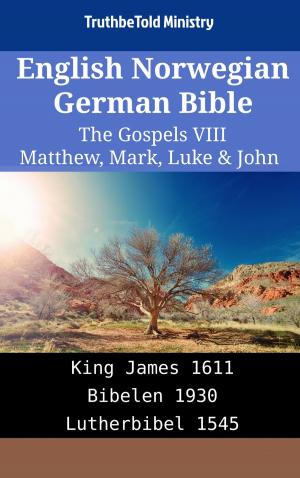 bigCover of the book English Norwegian German Bible - The Gospels VIII - Matthew, Mark, Luke & John by 