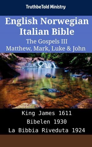 Cover of the book English Norwegian Italian Bible - The Gospels III - Matthew, Mark, Luke & John by TruthBeTold Ministry