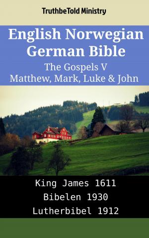 bigCover of the book English Norwegian German Bible - The Gospels V - Matthew, Mark, Luke & John by 