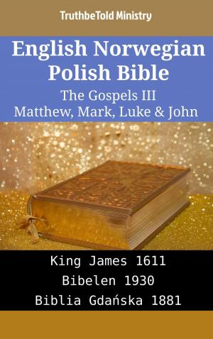 bigCover of the book English Norwegian Polish Bible - The Gospels III - Matthew, Mark, Luke & John by 
