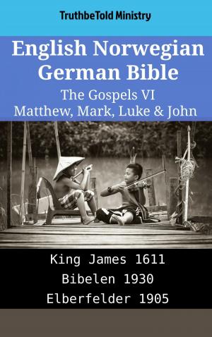 bigCover of the book English Norwegian German Bible - The Gospels VI - Matthew, Mark, Luke & John by 