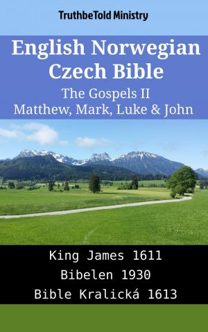 Book cover of English Norwegian Czech Bible - The Gospels II - Matthew, Mark, Luke & John