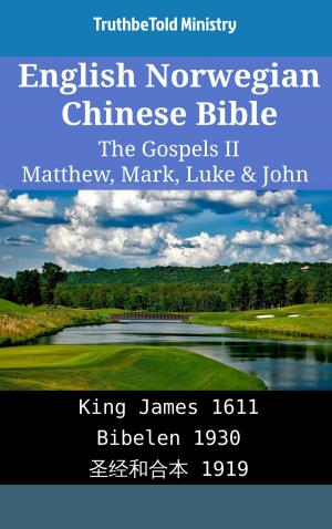 bigCover of the book English Norwegian Chinese Bible - The Gospels II - Matthew, Mark, Luke & John by 