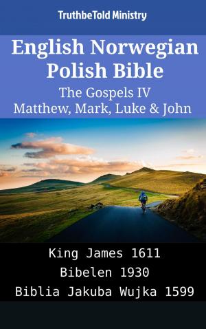 Cover of English Norwegian Polish Bible - The Gospels IV - Matthew, Mark, Luke & John