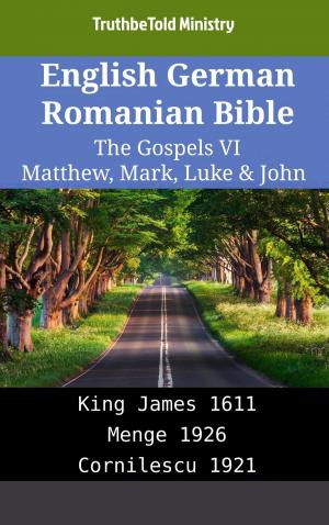 Cover of English German Romanian Bible - The Gospels VI - Matthew, Mark, Luke & John