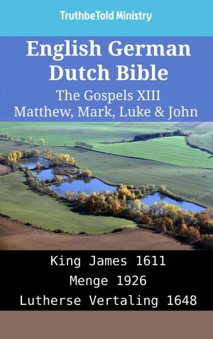 bigCover of the book English German Dutch Bible - The Gospels XIII - Matthew, Mark, Luke & John by 