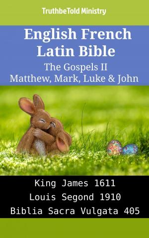 Book cover of English French Latin Bible - The Gospels II - Matthew, Mark, Luke & John