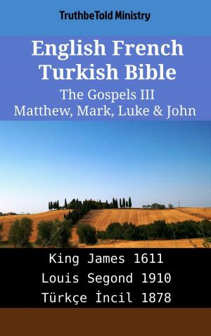 Cover of the book English French Turkish Bible - The Gospels III - Matthew, Mark, Luke & John by Wolf Krötke
