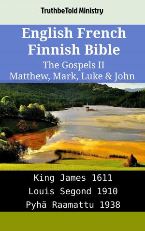 Cover of English French Finnish Bible - The Gospels II - Matthew, Mark, Luke & John