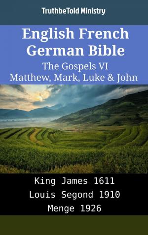 Book cover of English French German Bible - The Gospels VI - Matthew, Mark, Luke & John