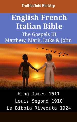 Book cover of English French Italian Bible - The Gospels III - Matthew, Mark, Luke & John