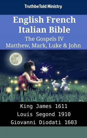Cover of English French Italian Bible - The Gospels IV - Matthew, Mark, Luke & John