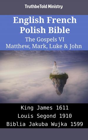 Book cover of English French Polish Bible - The Gospels VI - Matthew, Mark, Luke & John