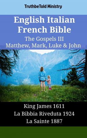 Book cover of English Italian French Bible - The Gospels III - Matthew, Mark, Luke & John