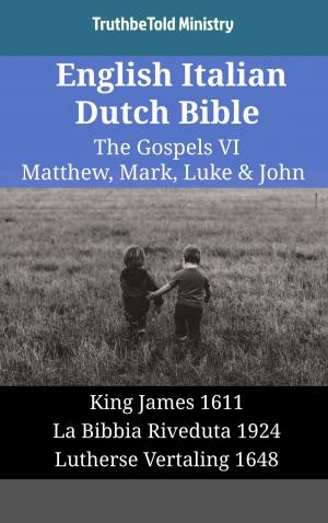 bigCover of the book English Italian Dutch Bible - The Gospels VI - Matthew, Mark, Luke & John by 