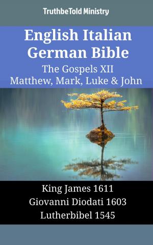 bigCover of the book English Italian German Bible - The Gospels XII - Matthew, Mark, Luke & John by 