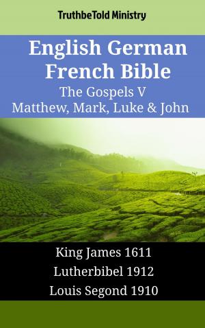Book cover of English German French Bible - The Gospels V - Matthew, Mark, Luke & John