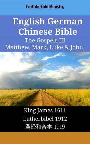 bigCover of the book English German Chinese Bible - The Gospels III - Matthew, Mark, Luke & John by 