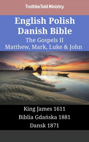 bigCover of the book English Polish Danish Bible - The Gospels II - Matthew, Mark, Luke & John by 