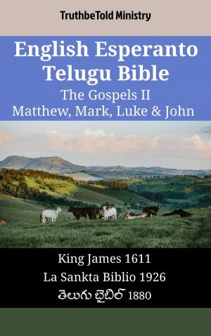 bigCover of the book English Esperanto Telugu Bible - The Gospels II - Matthew, Mark, Luke & John by 