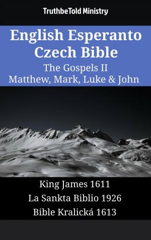 bigCover of the book English Esperanto Czech Bible - The Gospels II - Matthew, Mark, Luke & John by 