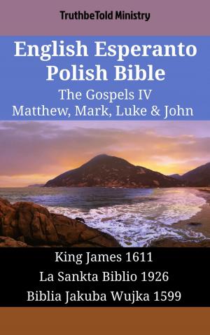 Book cover of English Esperanto Polish Bible - The Gospels IV - Matthew, Mark, Luke & John