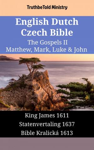 bigCover of the book English Dutch Czech Bible - The Gospels II - Matthew, Mark, Luke & John by 
