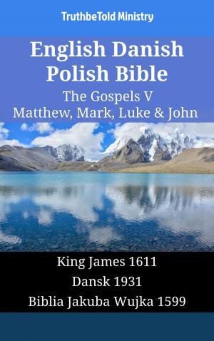 bigCover of the book English Danish Polish Bible - The Gospels V - Matthew, Mark, Luke & John by 