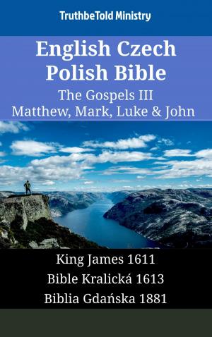 bigCover of the book English Czech Polish Bible - The Gospels III - Matthew, Mark, Luke & John by 