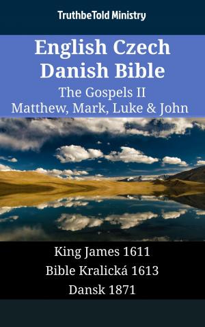 bigCover of the book English Czech Danish Bible - The Gospels II - Matthew, Mark, Luke & John by 