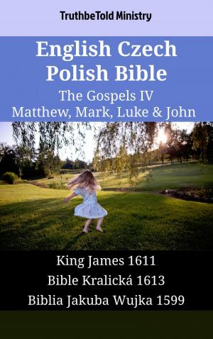 bigCover of the book English Czech Polish Bible - The Gospels IV - Matthew, Mark, Luke & John by 