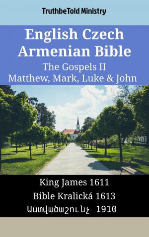 bigCover of the book English Czech Armenian Bible - The Gospels II - Matthew, Mark, Luke & John by 