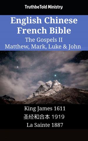 Cover of the book English Chinese French Bible - The Gospels II - Matthew, Mark, Luke & John by Michael Weinrich