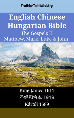 Book cover of English Chinese Hungarian Bible - The Gospels II - Matthew, Mark, Luke & John
