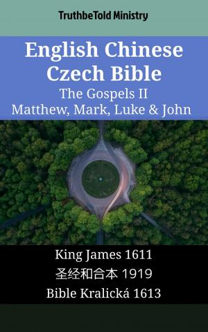 Cover of the book English Chinese Czech Bible - The Gospels II - Matthew, Mark, Luke & John by Annamária Lammel, Ilona Nagy