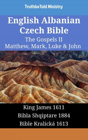 bigCover of the book English Albanian Czech Bible - The Gospels II - Matthew, Mark, Luke & John by 