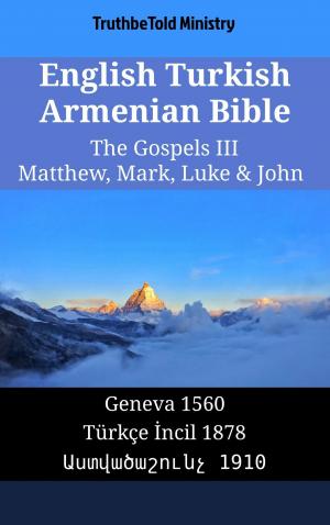 bigCover of the book English Turkish Armenian Bible - The Gospels III - Matthew, Mark, Luke & John by 