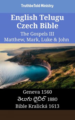 bigCover of the book English Telugu Czech Bible - The Gospels III - Matthew, Mark, Luke & John by 