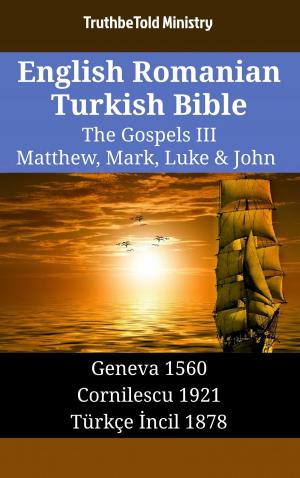 Cover of the book English Romanian Turkish Bible - The Gospels III - Matthew, Mark, Luke & John by Elisa  Guajardo Carothers