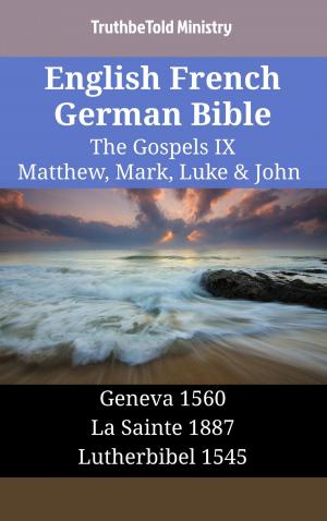 Book cover of English French German Bible - The Gospels IX - Matthew, Mark, Luke & John
