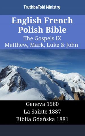 Cover of English French Polish Bible - The Gospels IX - Matthew, Mark, Luke & John