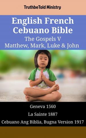bigCover of the book English French Cebuano Bible - The Gospels V - Matthew, Mark, Luke & John by 