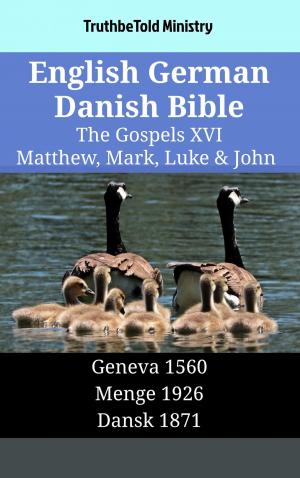 bigCover of the book English German Danish Bible - The Gospels XVI - Matthew, Mark, Luke & John by 