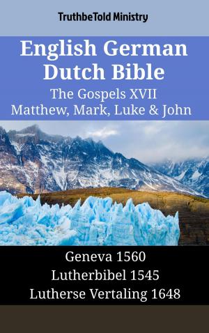 bigCover of the book English German Dutch Bible - The Gospels XVII - Matthew, Mark, Luke & John by 