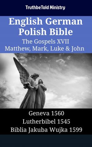 Cover of English German Polish Bible - The Gospels XVII - Matthew, Mark, Luke & John