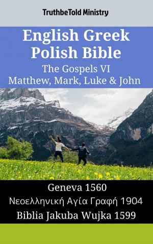 bigCover of the book English Greek Polish Bible - The Gospels VI - Matthew, Mark, Luke & John by 