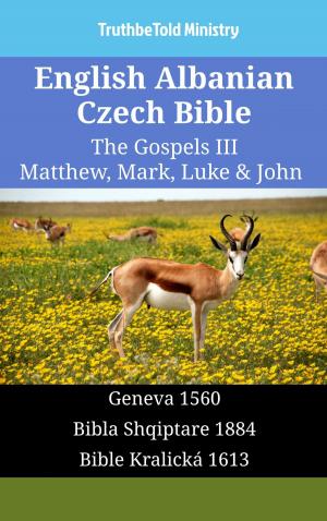 bigCover of the book English Albanian Czech Bible - The Gospels III - Matthew, Mark, Luke & John by 