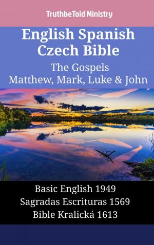 Cover of the book English Spanish Czech Bible - The Gospels II - Matthew, Mark, Luke & John by TruthBeTold Ministry