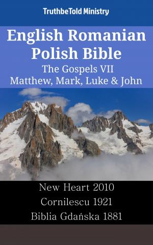 bigCover of the book English Romanian Polish Bible - The Gospels VII - Matthew, Mark, Luke & John by 
