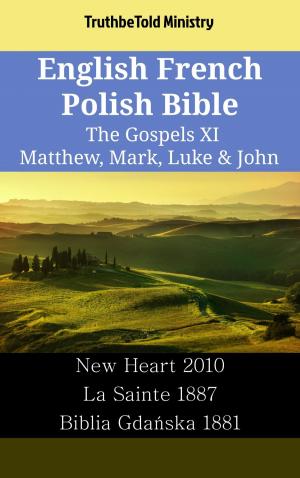 bigCover of the book English French Polish Bible - The Gospels XI - Matthew, Mark, Luke & John by 